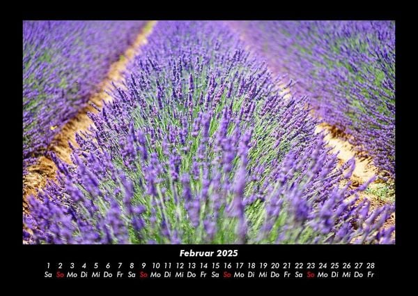 Produktbild: Pflanzen und Bl&uuml;ten 2025 Fotokalender DIN A3