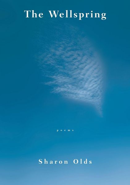 Produktbild: The Wellspring