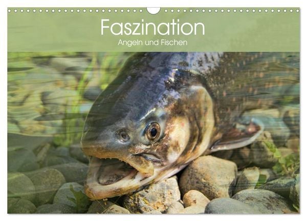 Produktbild: Faszination Angeln und Fischen (Wandkalender 2026 DIN A3 quer), CALVENDO Monatskalender