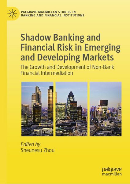 Produktbild: Shadow Banking and Financial Risk in Emerging and Developing Markets