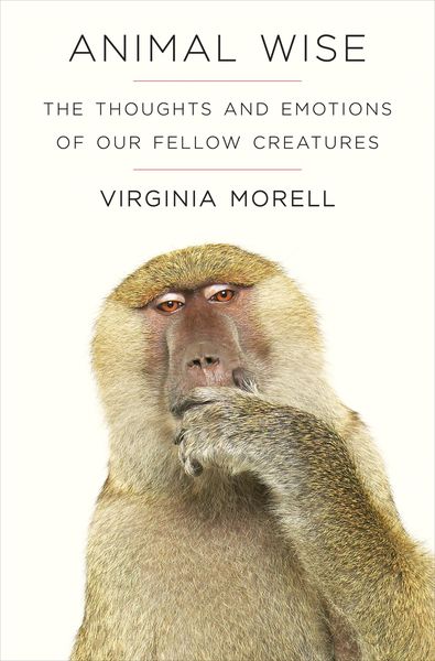 Produktbild: Animal Wise