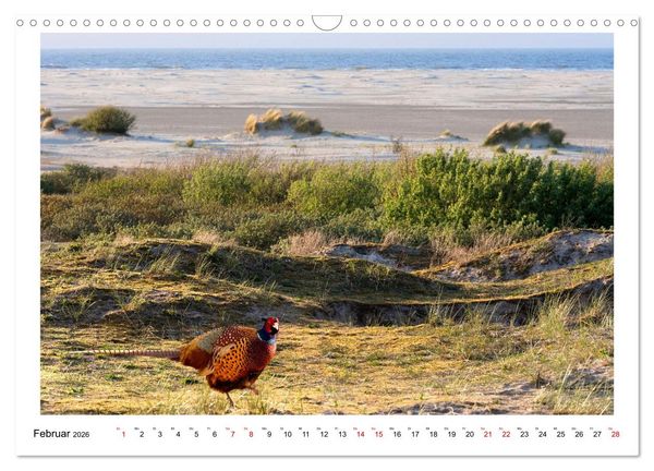 Produktbild: Wir fahren nach Borkum (Wandkalender 2026 DIN A3 quer), CALVENDO Monatskalender