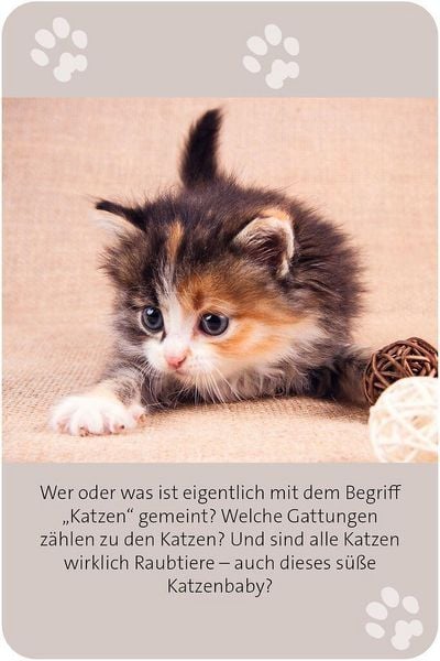 Produktbild: Das gro&szlig;e Katzen Quiz