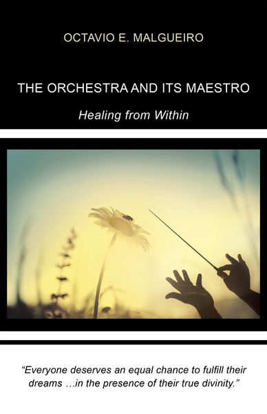 Produktbild: The Orchestra and Its Maestro
