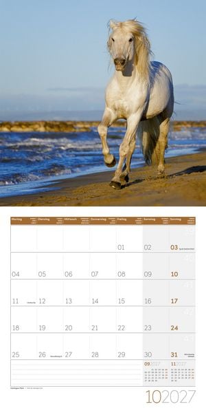 Produktbild: Pferde Kalender 2027 - 30x30 - Art12