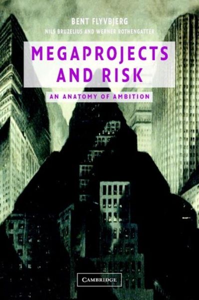 Produktbild: Megaprojects and Risk
