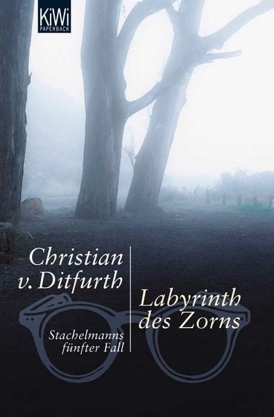 Produktbild: Labyrinth des Zorns / Stachelmann Band 5