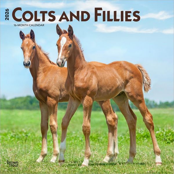 Produktbild: Colts and Fillies 2026 12 X 24 Inch (Hanging) Monthly Square Wall Calendar Plastic-Free