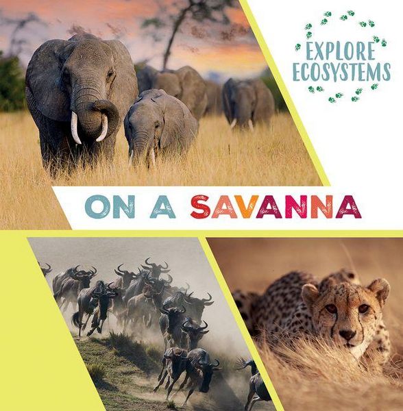 Produktbild: On a Savanna