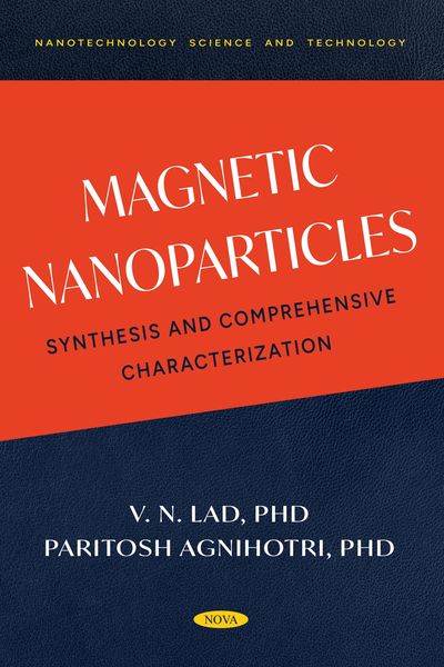 Produktbild: Magnetic Nanoparticles: Synthesis and Comprehensive Characterization