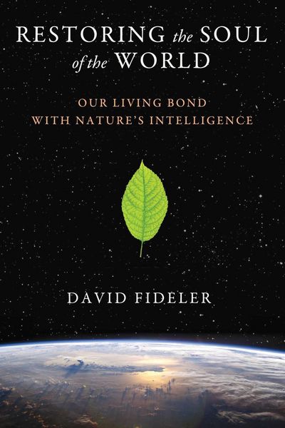 Produktbild: Restoring the Soul of the World