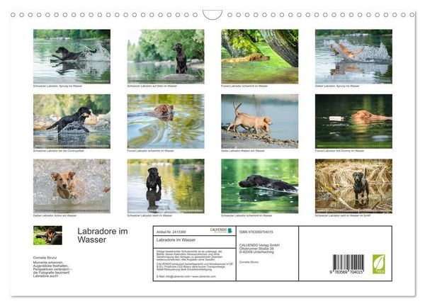 Produktbild: Labradore im Wasser (Wandkalender 2027 DIN A3 quer), CALVENDO Monatskalender