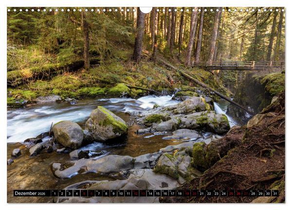 Produktbild: Waldwasser (Wandkalender 2026 DIN A3 quer), CALVENDO Monatskalender