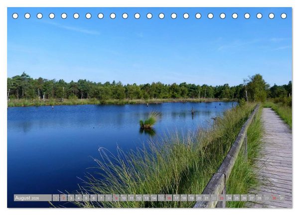 Produktbild: Pietzmoor - ein Hochmoor in der L&uuml;neburger Heide (Tischkalender 2026 DIN A5 quer), CALVENDO Monatskalender
