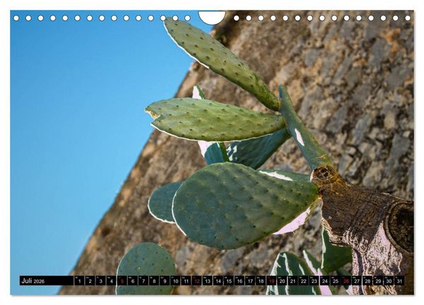 Produktbild: ALICANTE INSIDE - Monatskalender &uuml;ber die Stadt Alicante (Wandkalender 2026 DIN A4 quer), CALVENDO Monatskalender
