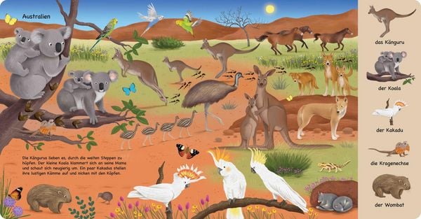 Produktbild: Tiere aus aller Welt