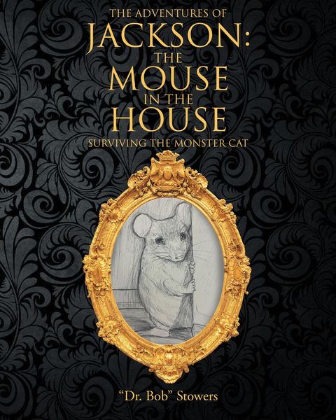 Produktbild: The Adventures of Jackson: The Mouse in the House
