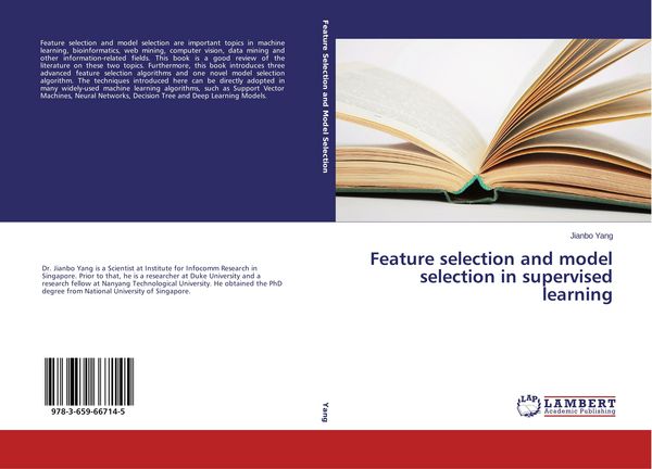Produktbild: Feature selection and model selection in supervised learning
