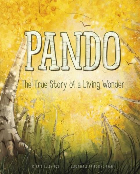 Produktbild: Pando