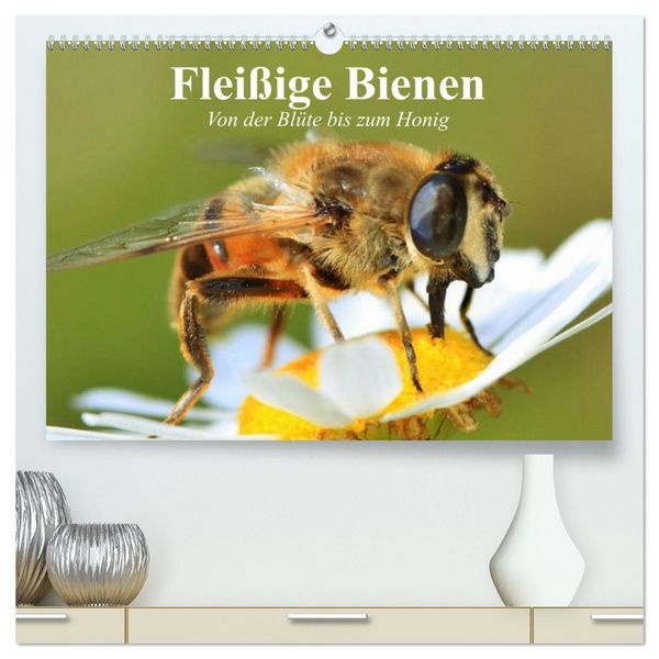 Produktbild: Flei&szlig;ige Bienen. Von der Bl&uuml;te bis zum Honig (hochwertiger Premium Wandkalender 2026 DIN A2 quer), Kunstdruck in Hochglanz