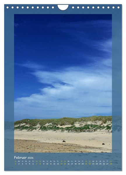 Produktbild: Texel sehen und verlieben (Wandkalender 2026 DIN A4 hoch), CALVENDO Monatskalender
