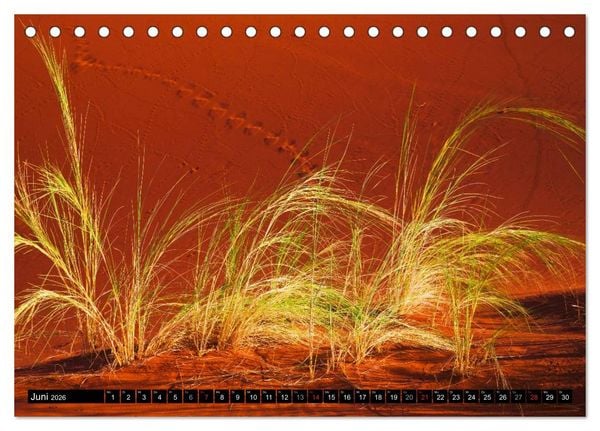 Produktbild: Namib Naukluft Nationalpark. NAMIBIA 2026 (Tischkalender 2026 DIN A5 quer), CALVENDO Monatskalender