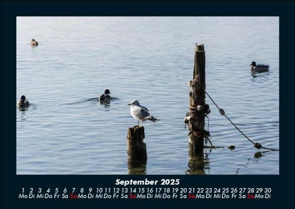 Produktbild: Seeblick 2025 Fotokalender DIN A5