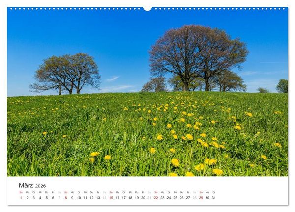 Produktbild: Blicke in die Eifel (hochwertiger Premium Wandkalender 2026 DIN A2 quer), Kunstdruck in Hochglanz