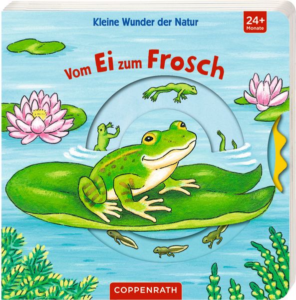 Produktbild: Kleine Wunder der Natur: Vom Ei zum Frosch