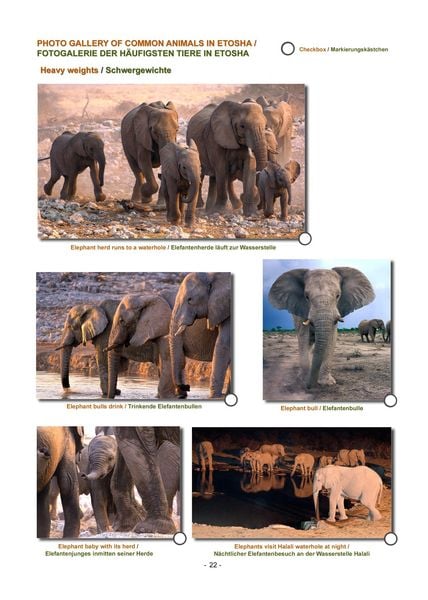 Produktbild: ETOSHA KARTE mit Fotogalerie