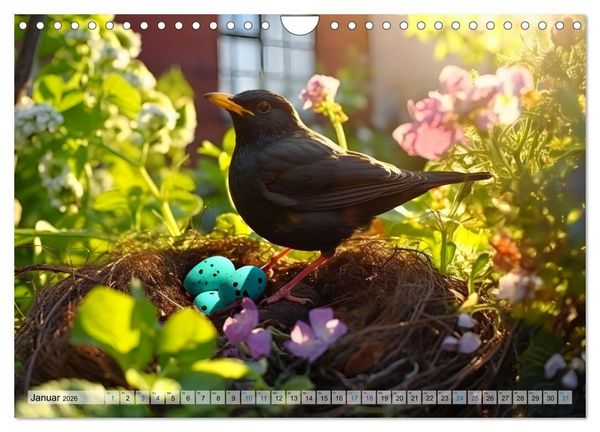 Produktbild: Wilde Nachbarn - Tierisches Treiben im Gartenparadies! (Wandkalender 2026 DIN A4 quer), CALVENDO Monatskalender