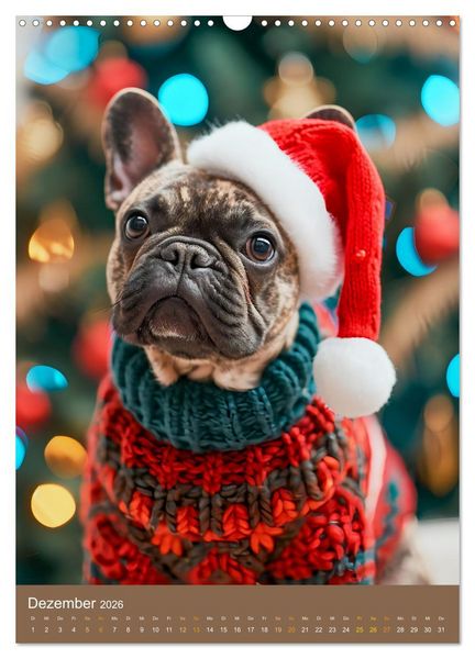Produktbild: Frenchie Couture - Franz&ouml;sische Bulldoggen in Strick-Chic (Wandkalender 2026 DIN A3 hoch), CALVENDO Monatskalender