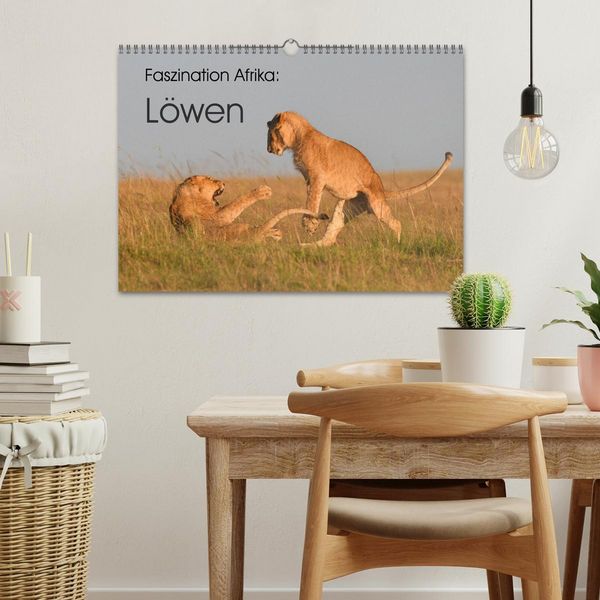 Produktbild: Faszination Afrika: L&ouml;wen (Wandkalender 2026 DIN A3 quer), CALVENDO Monatskalender