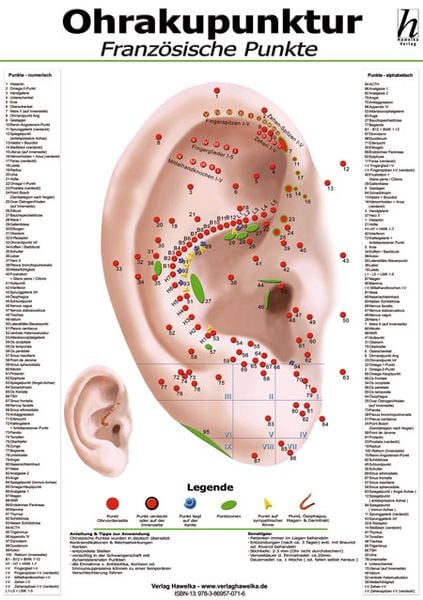 Ohrakupunktur Mini-Poster - französische Punkte DIN A4