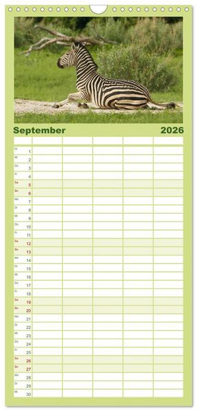 Produktbild: Familienplaner 2026 - Zebras - Faszination der Wildnis mit 5 Spalten (Wandkalender, 21 x 45 cm) CALVENDO
