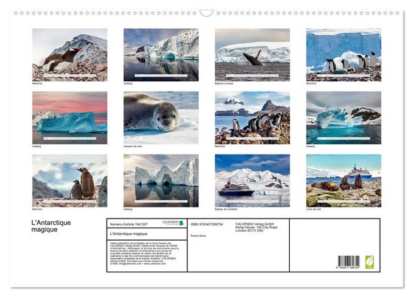 Produktbild: L'Antarctique magique (Calendrier mural 2026 DIN A2 vertical), CALVENDO calendrier mensuel