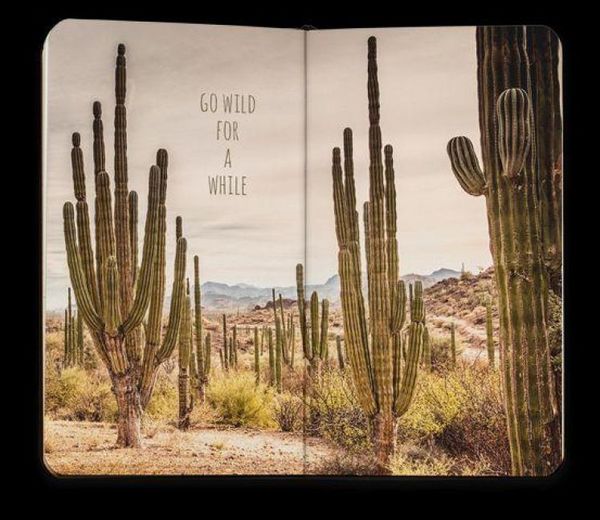 Produktbild: Notizbuch Go wild for a while
