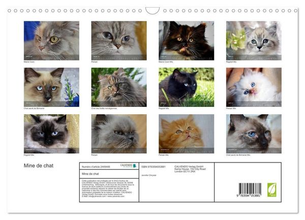 Produktbild: Mine de chat (Calendrier mural 2027 DIN A3 vertical), CALVENDO calendrier mensuel