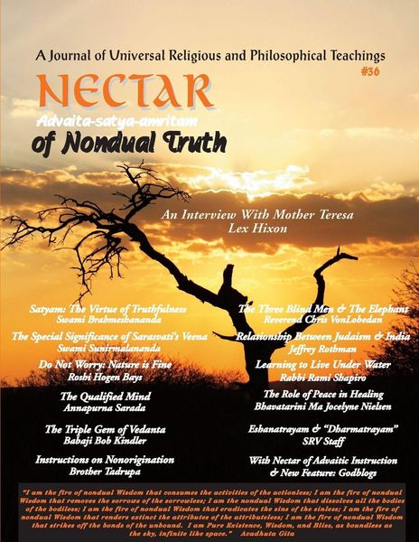 Produktbild: Nectar of Non-Dual Truth #36