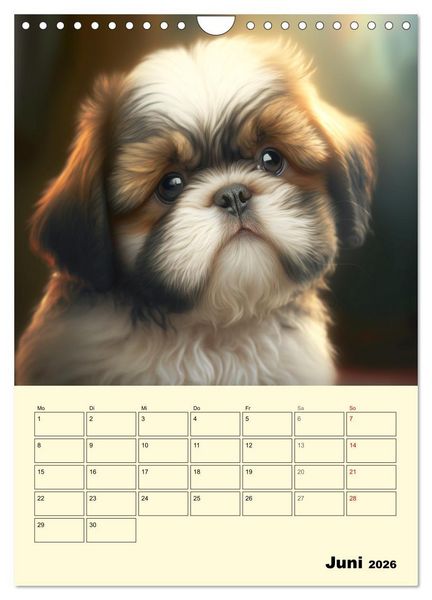 Produktbild: Shih Tzu Alarm. Gl&uuml;ckliche Wuschelk&ouml;pfe (Wandkalender 2026 DIN A4 hoch), CALVENDO Monatskalender