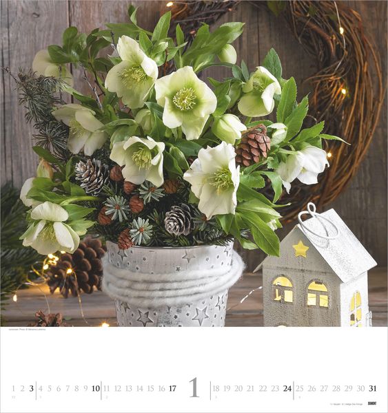 Produktbild: Bouquets 2027