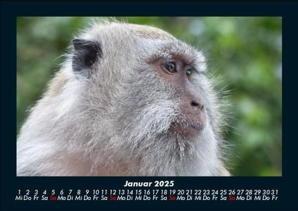 Produktbild: Bali 2025 Fotokalender DIN A5