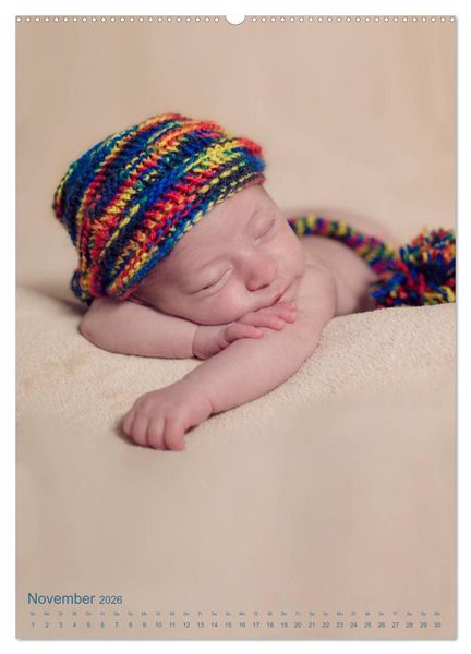 Produktbild: Babys - Die Liebe des Lebens (hochwertiger Premium Wandkalender 2026 DIN A2 hoch), Kunstdruck in Hochglanz