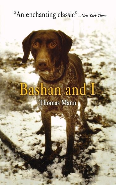 Produktbild: Bashan and I