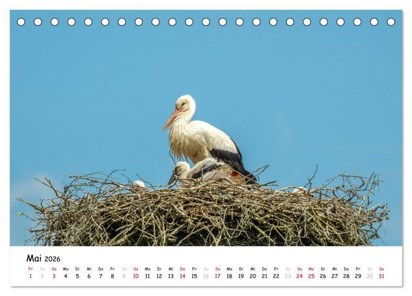 Fotogenes Nordhessen (Tischkalender 2026 DIN A5 quer), CALVENDO Monatskalender
