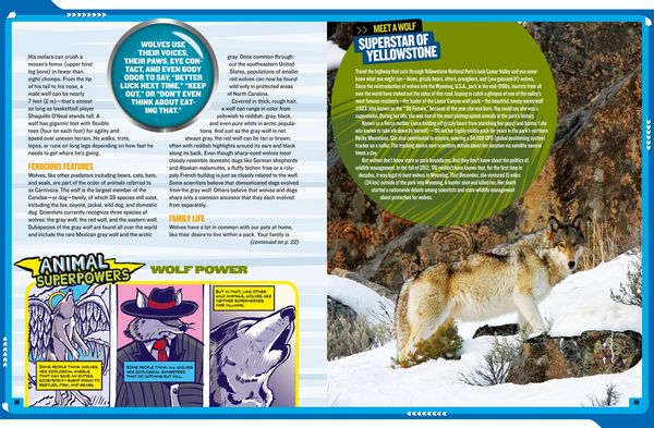 Produktbild: Mission: Wolf Rescue