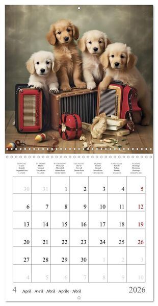 Produktbild: Fairy tale heroes with a wet nose (Wall Calendar 2026 12 &times; 12 Inch) CALVENDO 12 Month Wall Calendar