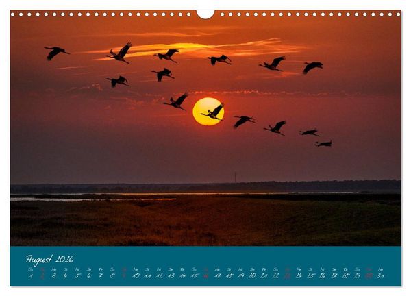 Produktbild: Blick auf die Halbinsel Fischland, Dar&szlig; und Zingst (Wandkalender 2026 DIN A3 quer), CALVENDO Monatskalender
