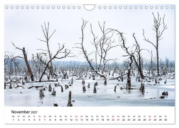 Produktbild: Naturwunder Stettiner Haff (Wandkalender 2027 DIN A4 quer), CALVENDO Monatskalender