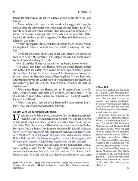 Produktbild: Das Buch der Versprechen